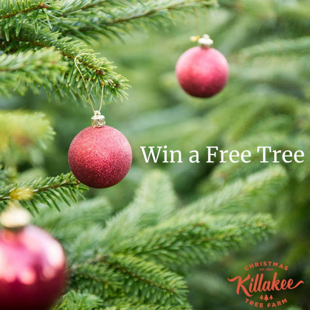 Win a Free Christmas Tree